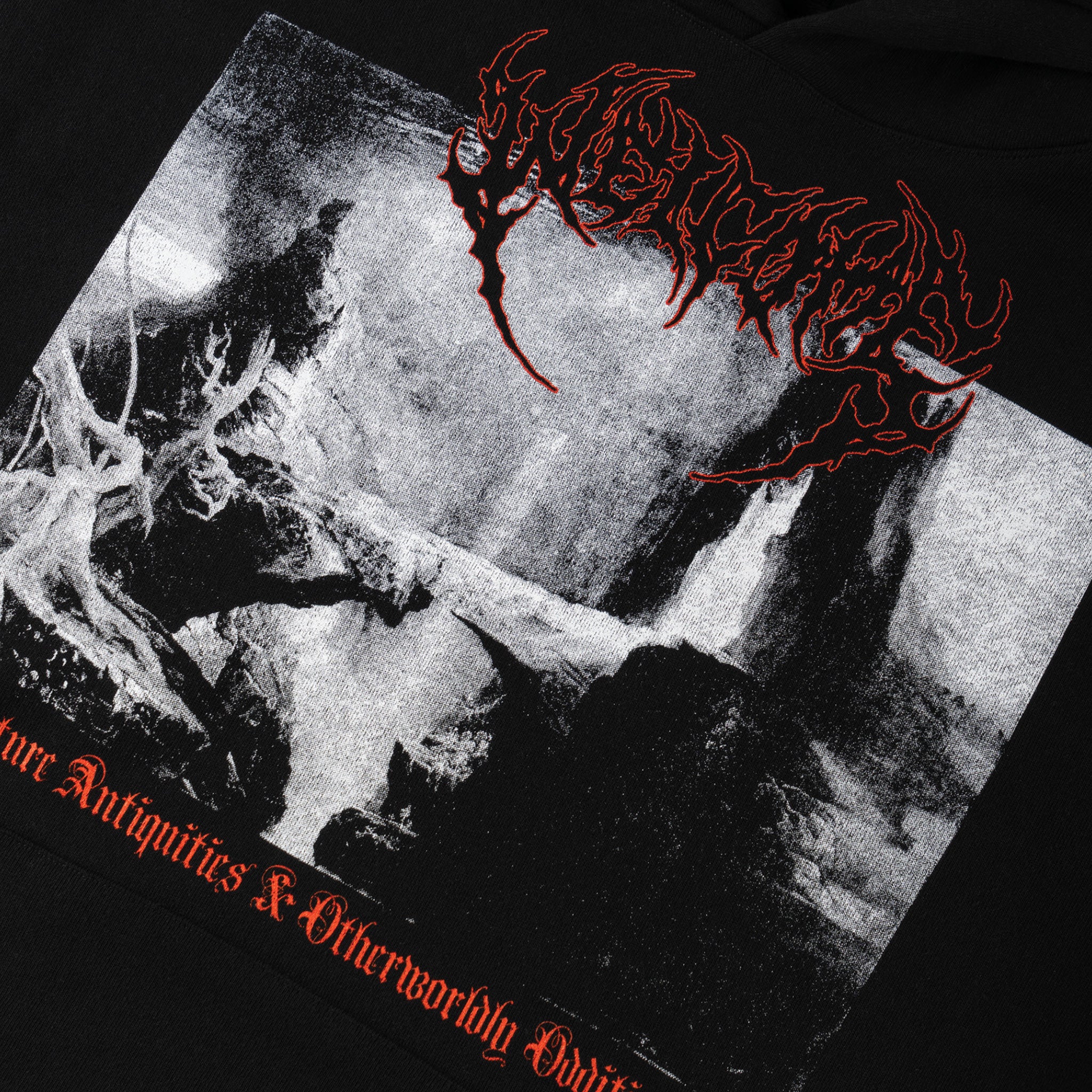 Bridge Printed Hoodie - Image 4