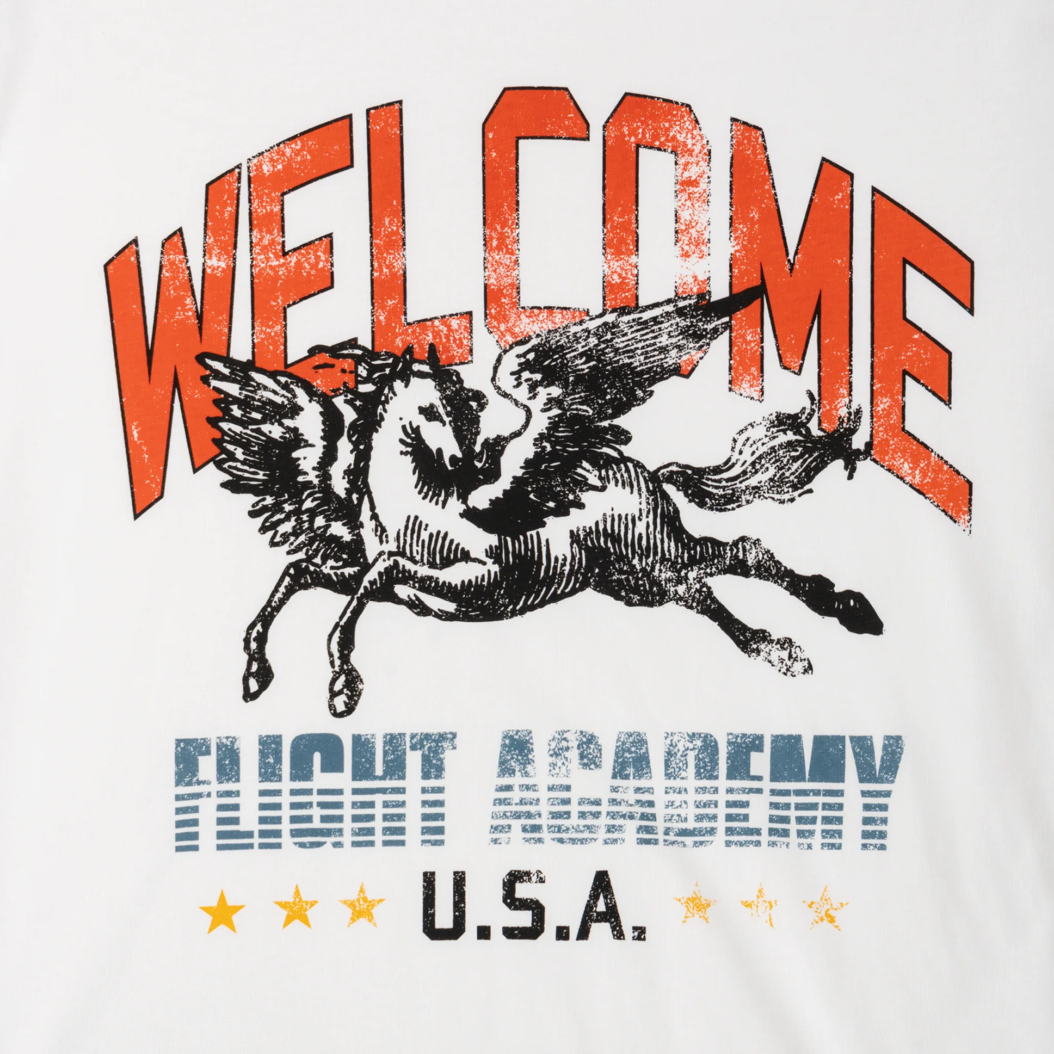 Pegasus Boxy Tee - Image 2